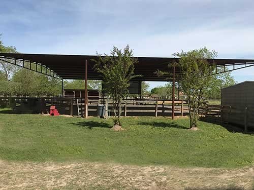 Sonesta Farms photo 17