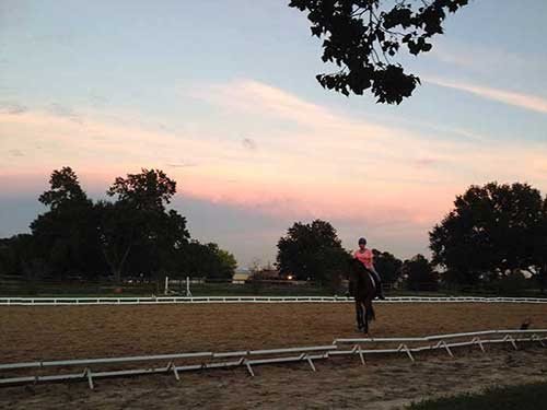 Sonesta Farms photo 3