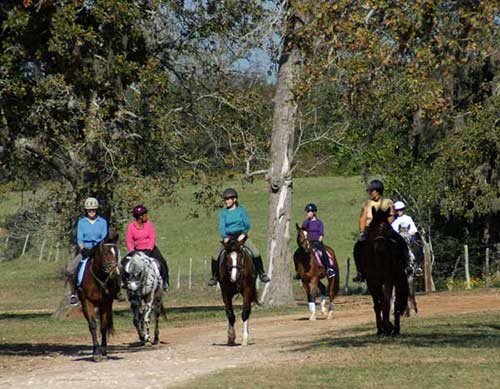 Sonesta Farms photo 5