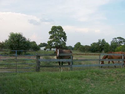 Sonesta Farms photo 7