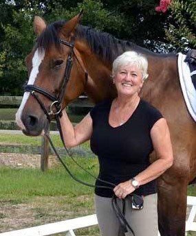 Sonesta Farms horse and rider in Cypress Texas