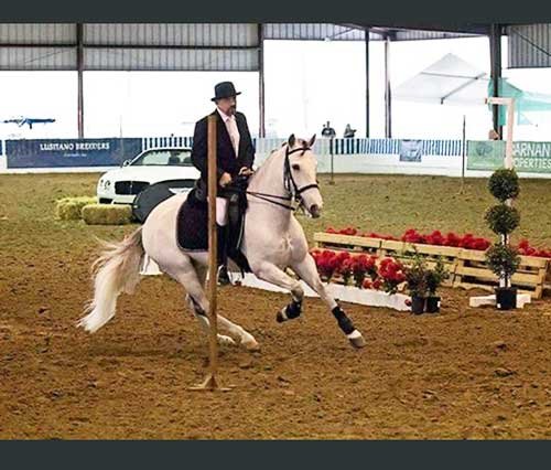 Sonesta Farms Raul at show