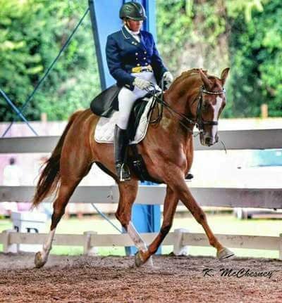 Gina Collier, Dressage trainer and horse at Sonesta Farms