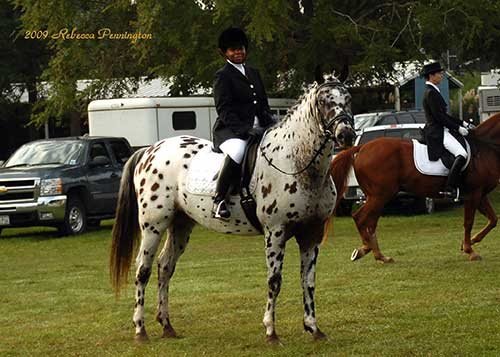 Sonesta Farms client 2