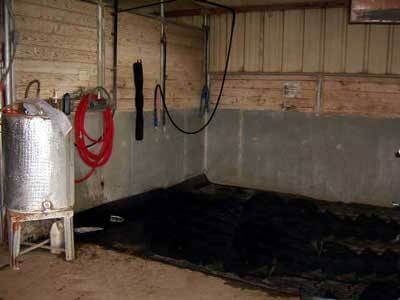 Horse turnout and farm facilities in Cypress Texas